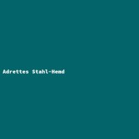 Adrettes Stahl-Hemd