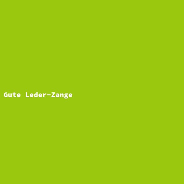 Gute Leder-Zange